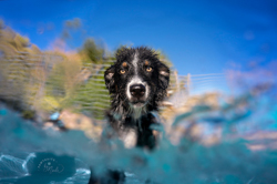 Pool in water