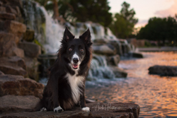 Aliante Waterfall sunset