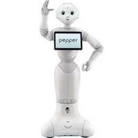 Roboter Pepper
